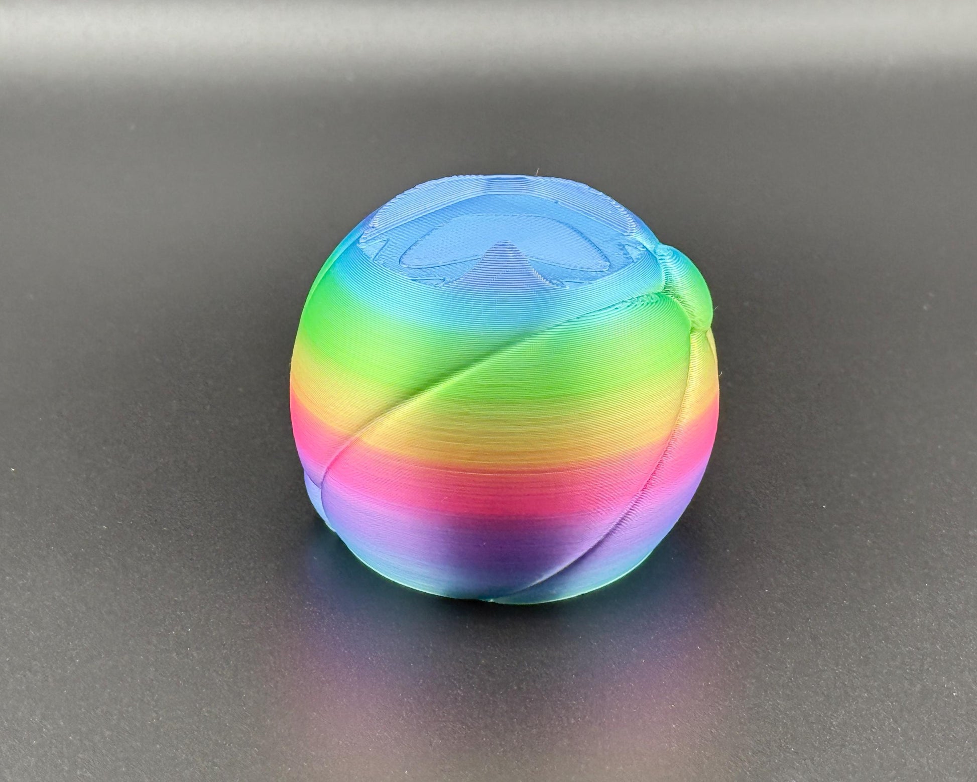 Sea Lion Fidget Friend with Beach Ball | 3D Printed Articulating Flexi Seal Figure | Printverse Cute Sea Lion Gift | Stress Relief Toy